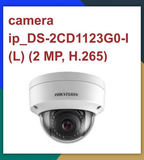 Hikvision camera IP_DS-2CD1123G0-I (L) (2 MP, H.265) _l Hồng ngoại 30 m_khuyến mãi tháng 7 giảm thêm 24%