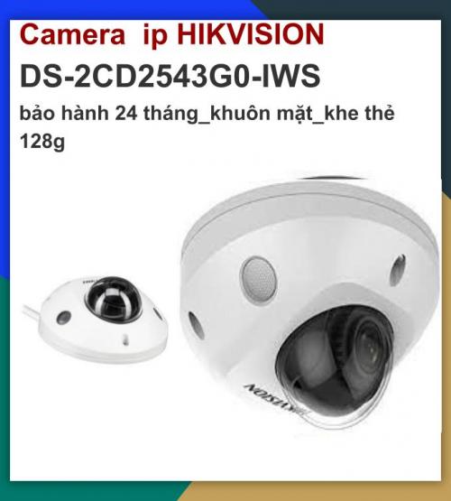 Hikvision_Camera ip wifi_DS-2CD2543G0-IWS...