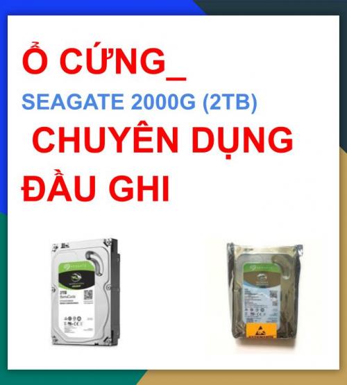Ổ CỨNG_ SEAGATE 2000G (2TB) chuyên dụng chính hảng_Bao công lắp đặt HCM