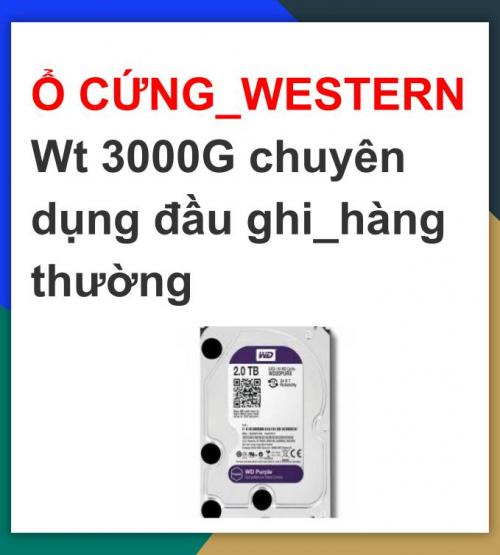 Ổ CỨNG_ HDD Wt 3000G chuyên dụng...